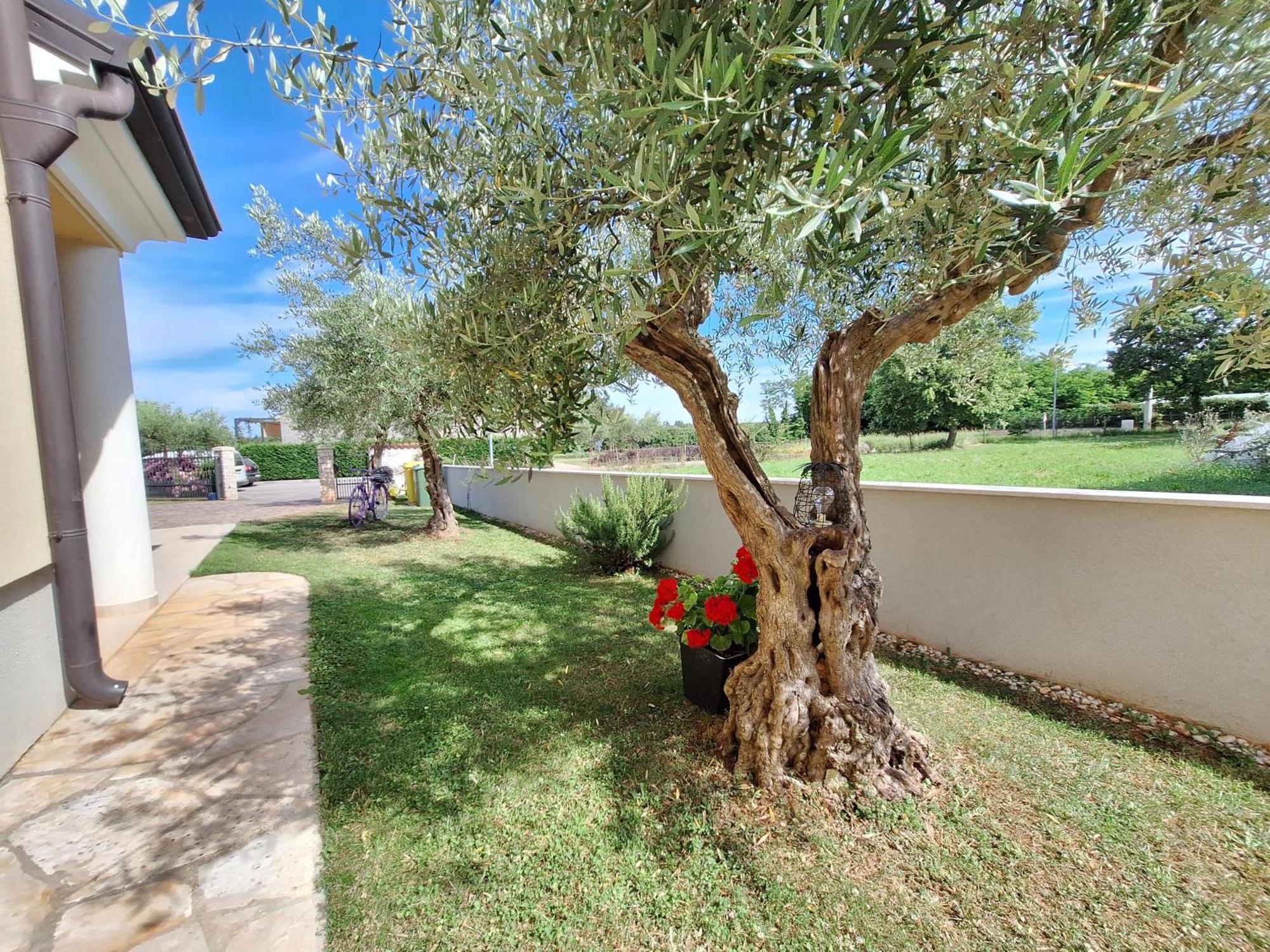 Babici Apartmani Berber מראה חיצוני תמונה